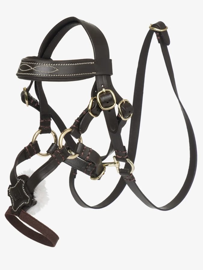 LeMieux Toy Pony Grackle Bridle- Brown