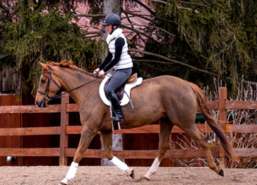 Back On Track Teddy Saddle Pad