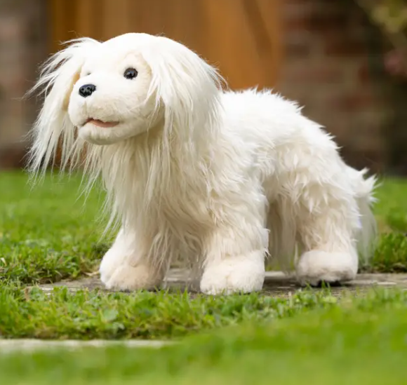 LM Toy Puppy — photo 3