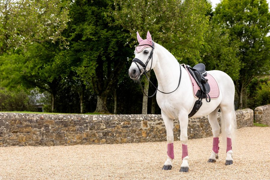 LM Suede Dressage Square — photo 3