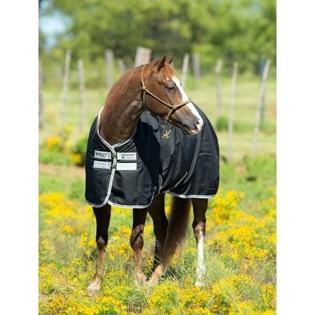 Amigo Stock Horse Turnout Sheet