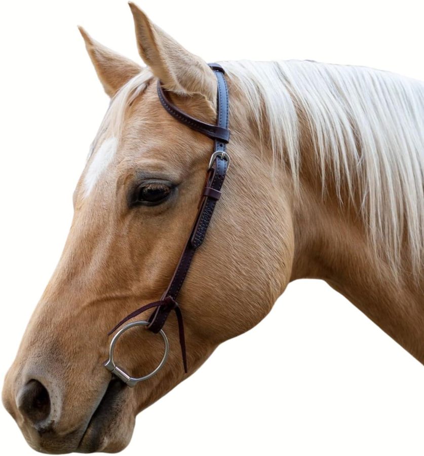 Shires Velociti One Ear Headstall with Rawhide Knotting 56002
