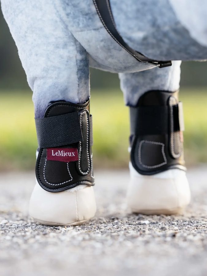 LeMieux Toy Pony Capella Boots — photo 2