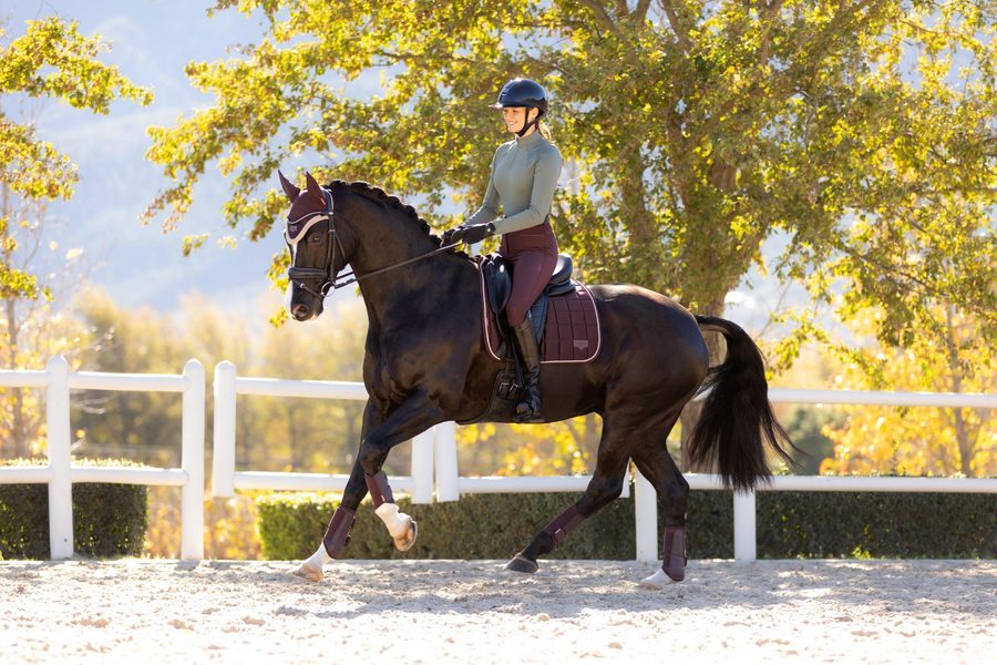 Lm Loire classic Dressage Square — photo 3