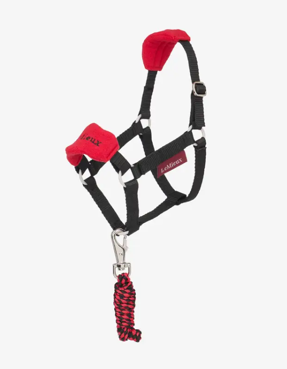 LeMieux Hobby Horse Vogue Headcollar & Leadrope — photo 2