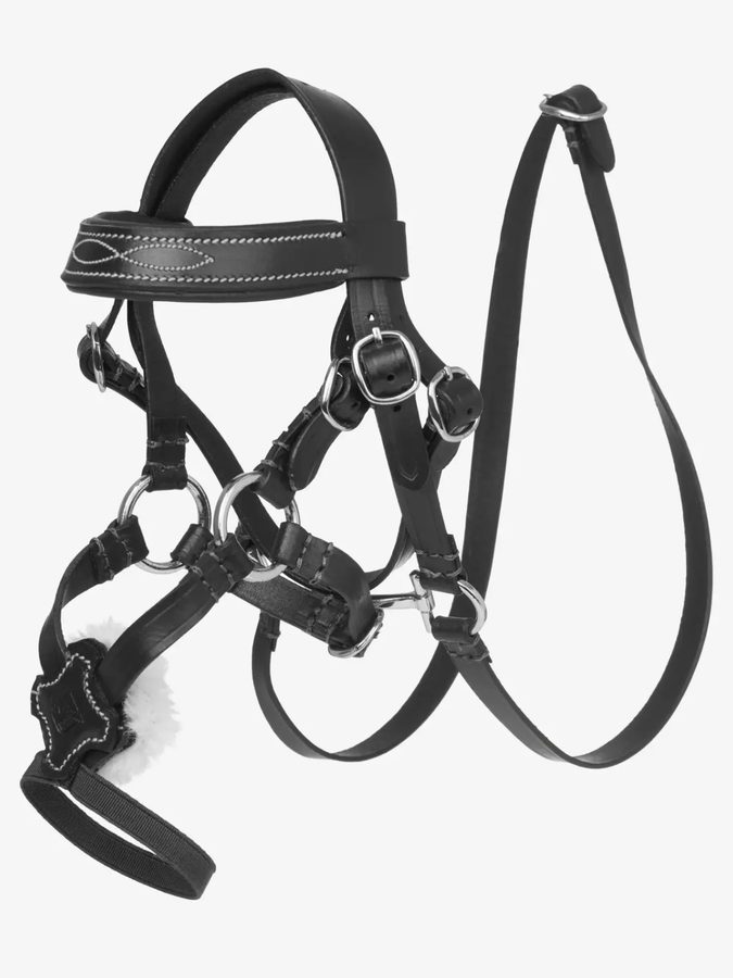 LeMieux Toy Pony Grackle Bridle- Brown — photo 3