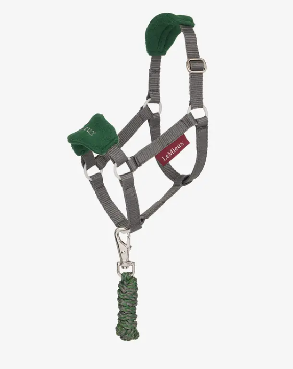 LeMieux Hobby Horse Vogue Headcollar & Leadrope — photo 3