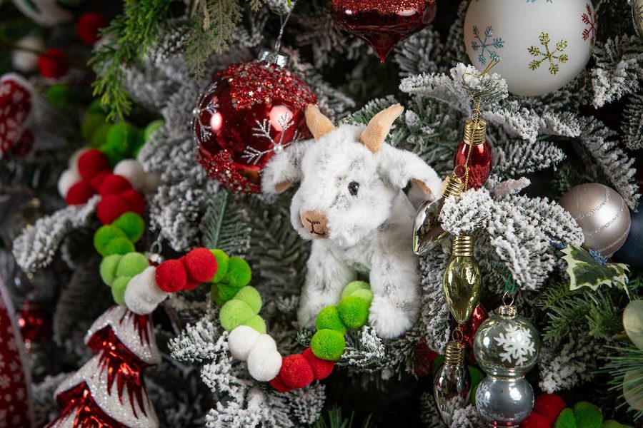 6" (14cm) Babiez Wild Onez Goat — photo 2