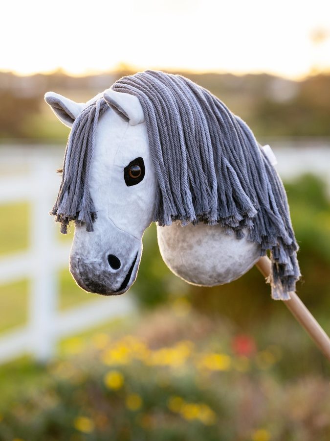 LeMieux Hobby Horse — photo 10