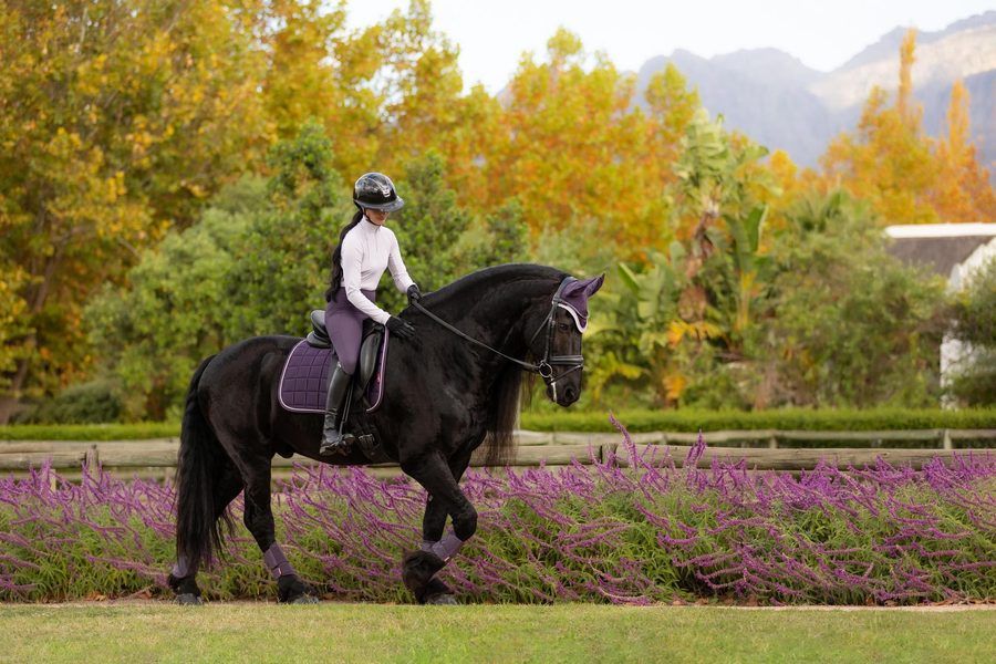 Lm Loire classic Dressage Square — photo 2