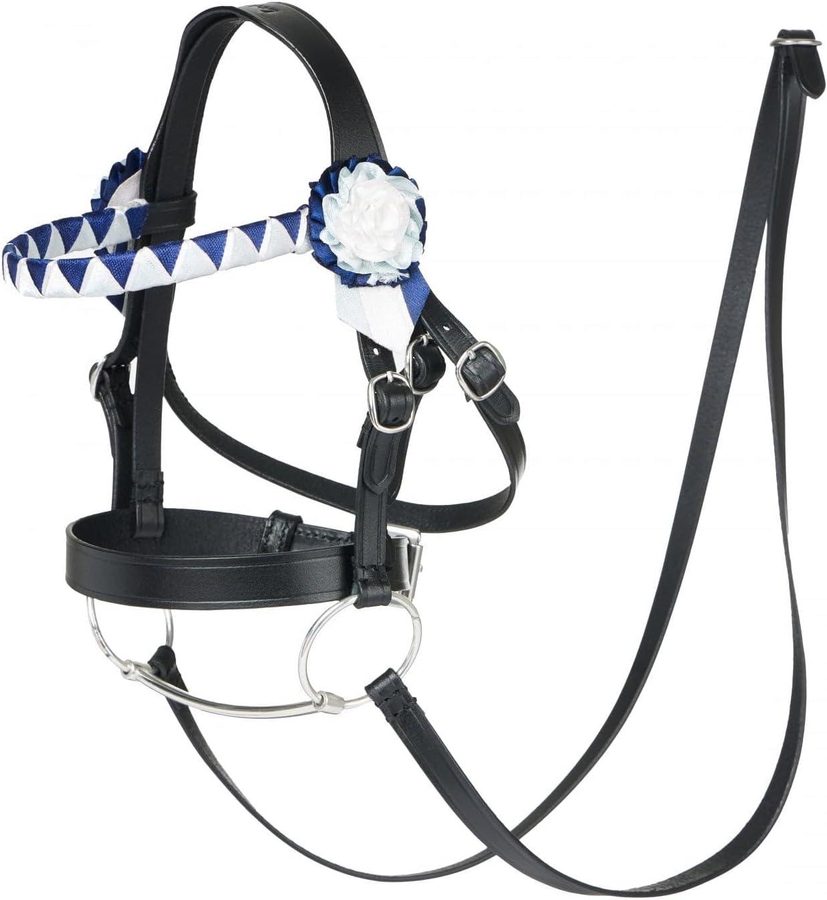 LeMieux Hobby Horse Showing Bridle