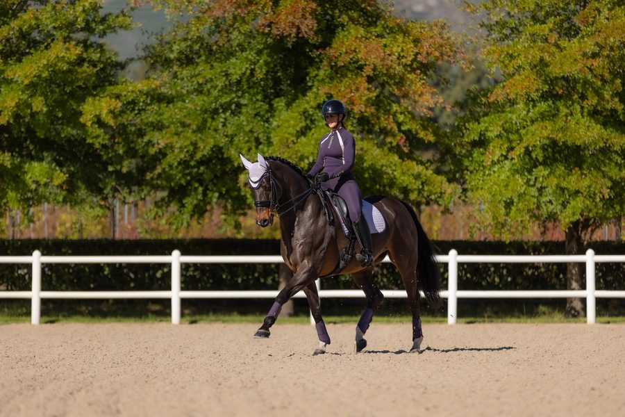 LM Suede Dressage Square — photo 4