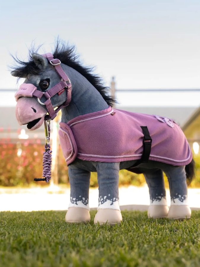 Toy Pony Rug — photo 3